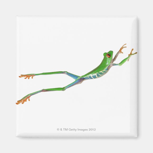 Roter mit Augen Baumfrosch springt Magnet (Vorne)