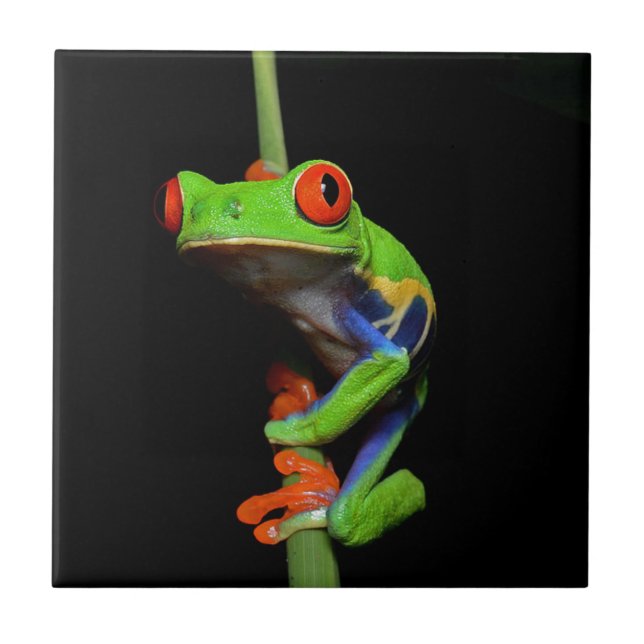 Roter mit Augen gemalter Baum-Frosch Fliese (Vorderseite)
