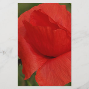Roter Mohn