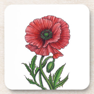 Roter Mohn, Aquarell und Tinte Getränkeuntersetzer