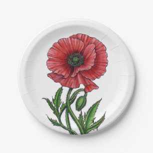 Roter Mohn, Aquarell und Tinte Pappteller