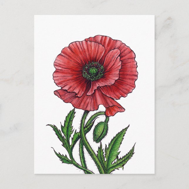 Roter Mohn, Aquarell und Tinte Postkarte (Vorderseite)