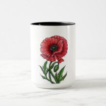 Roter Mohn, Aquarell und Tinte