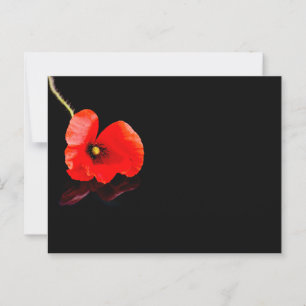 Roter Mohn aus Single auf schwarz Postkarte