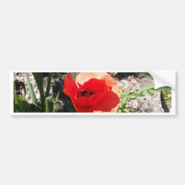 Roter Mohn Autoaufkleber