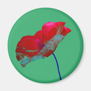 Roter Mohn Blume auf smaragdgrünen Magnet