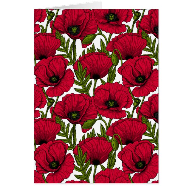 Roter Mohn Garten 2 (Vorne)