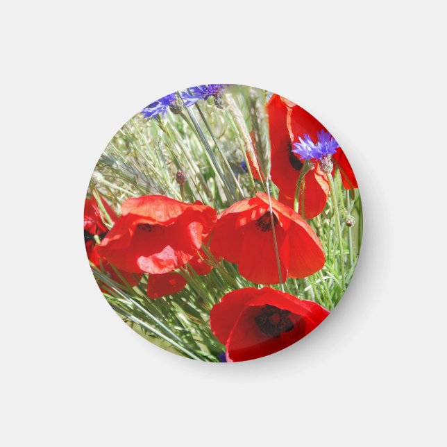 Roter Mohn, Hütte Garden Foto Magnet (Vorne)