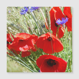 Roter Mohn, Hütte Garden Foto Magnetkarte