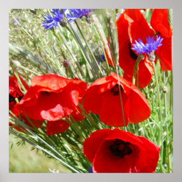 Roter Mohn, Hütte Garden Foto Poster