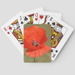 Roter Mohn im Feld Spielkarten