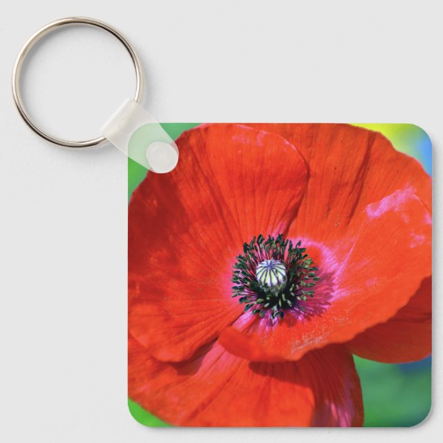 Roter Mohn im Sonnenschein-Schlüsselanhänger Schlüsselanhänger (Vorderseite)