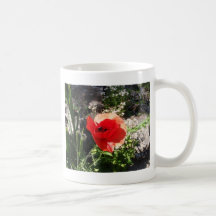 Roter Mohn