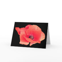 Roter Mohn