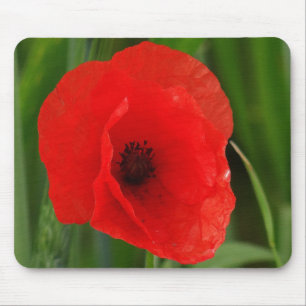 Roter Mohn Mousepad