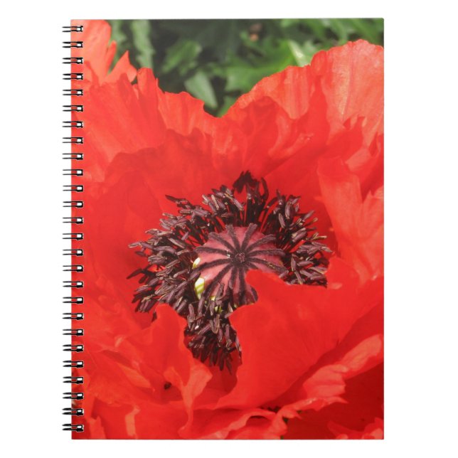 Roter Mohn Notizblock (Vorderseite)