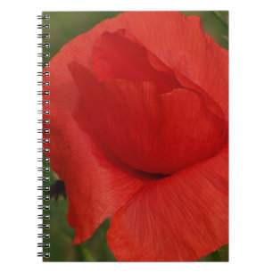 Roter Mohn Notizblock