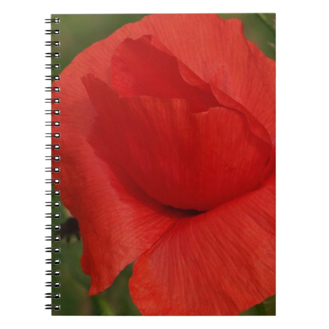 Roter Mohn Notizblock (Vorderseite)