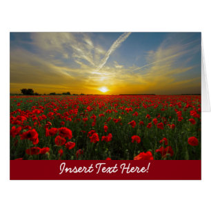 Roter Mohnblumen-Sonnenuntergang