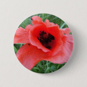 Roter Mohnblumenkelch Button