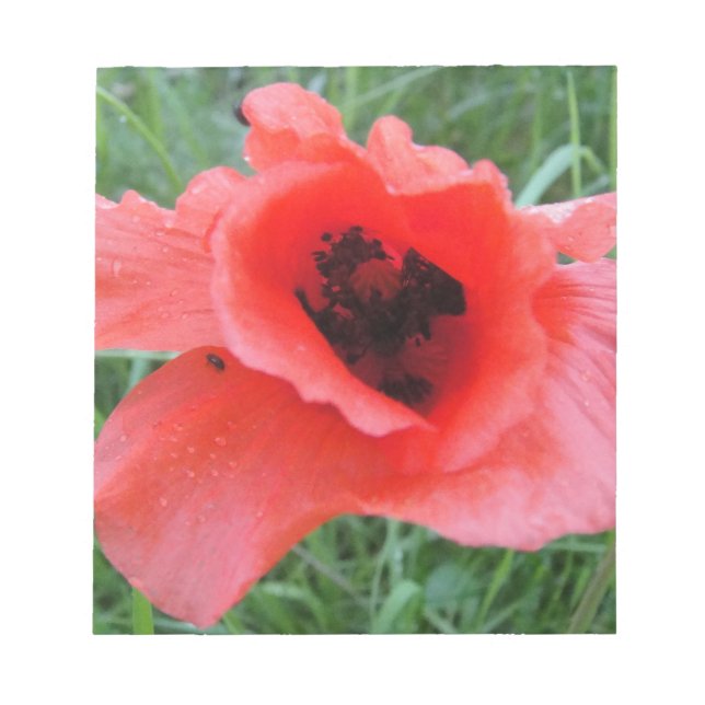 Roter Mohnblumenkelch Notizblock (Vorderseite)