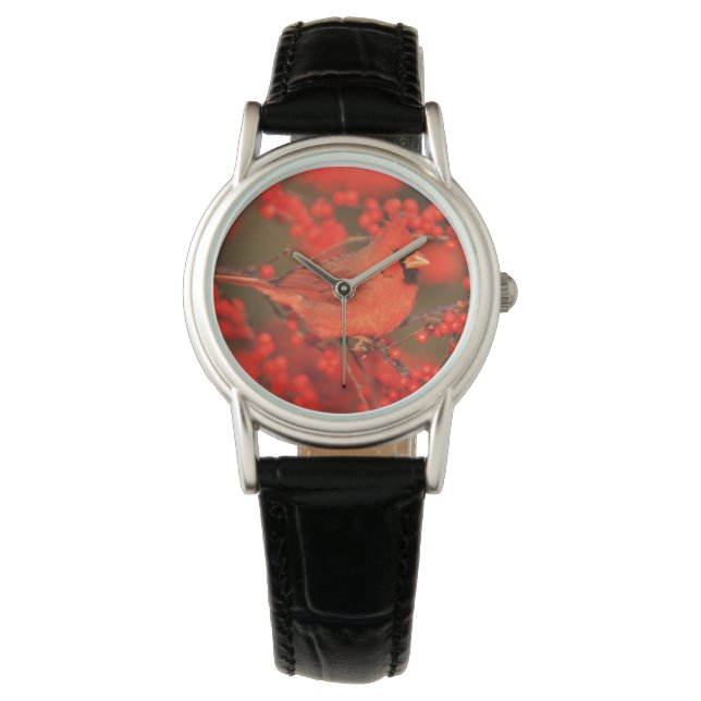 Roter Nördlicher Kardinal männlich, IL Armbanduhr (Vorderseite)