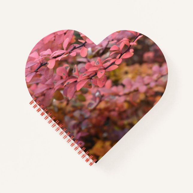 Roter Orange Fall Blätter Herbst Blätter Blätter N Notizbuch (Vorderseite)