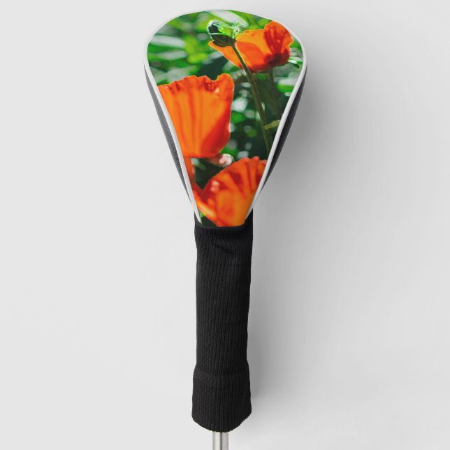Roter Orangenmohn-Blume Golf Headcover (Vorderseite)