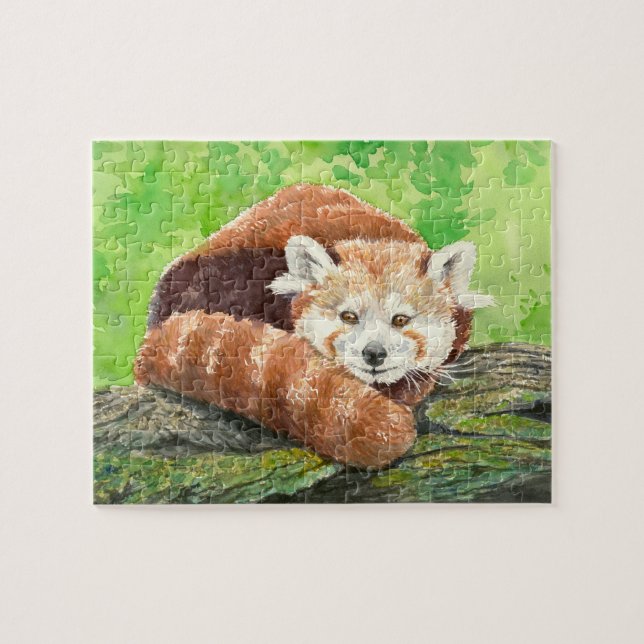 Roter Panda (Horizontal)