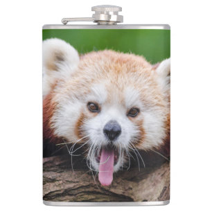 Roter Panda-Bär Flachmann