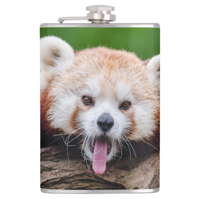 Roter Panda-Bär Flachmann (Vorderseite)