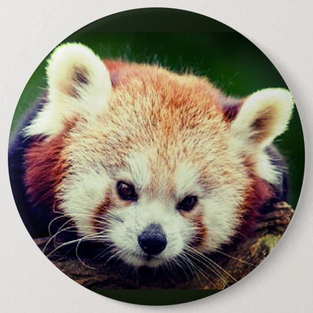 Roter Panda Button (Vorderseite)