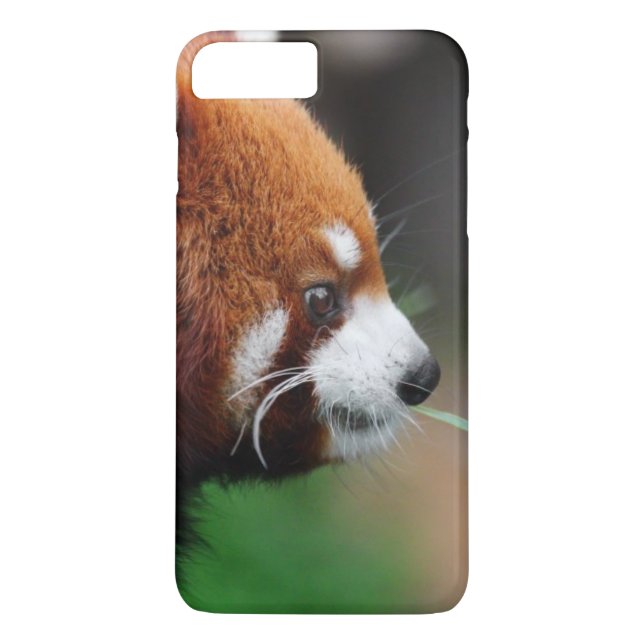 Roter Panda Case-Mate iPhone Hülle (Rückseite)