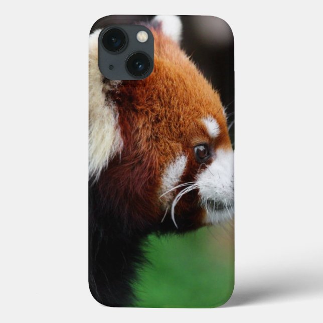 Roter Panda Case-Mate iPhone Hülle (Rückseite)