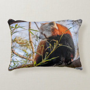 Roter Panda Dekokissen