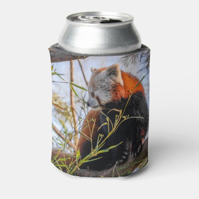 Roter Panda Dosenkühler (Kanne Rückseite)