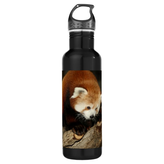 Roter Panda Edelstahlflasche (Vorderseite)