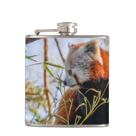 Roter Panda Flachmann