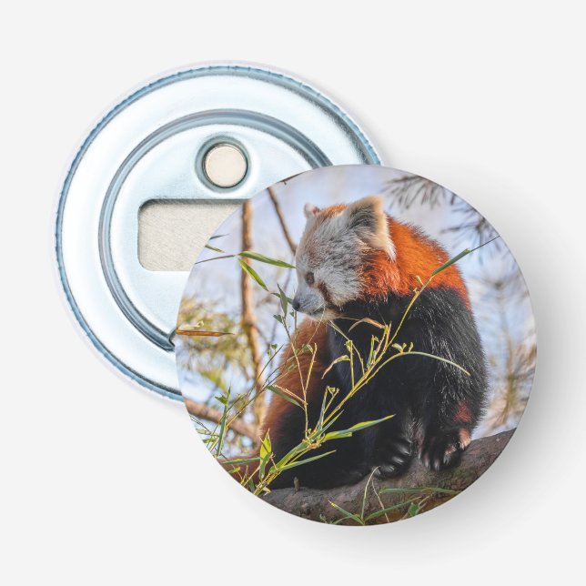 Roter Panda Flaschenöffner (Vorderseite)