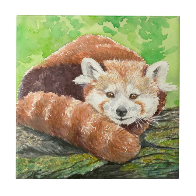 Roter Panda Fliese (Vorderseite)