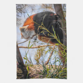 Roter Panda Geschirrtuch