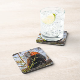 Roter Panda Getränkeuntersetzer