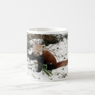 Roter Panda Kaffeetasse