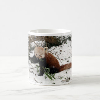 Roter Panda Kaffeetasse