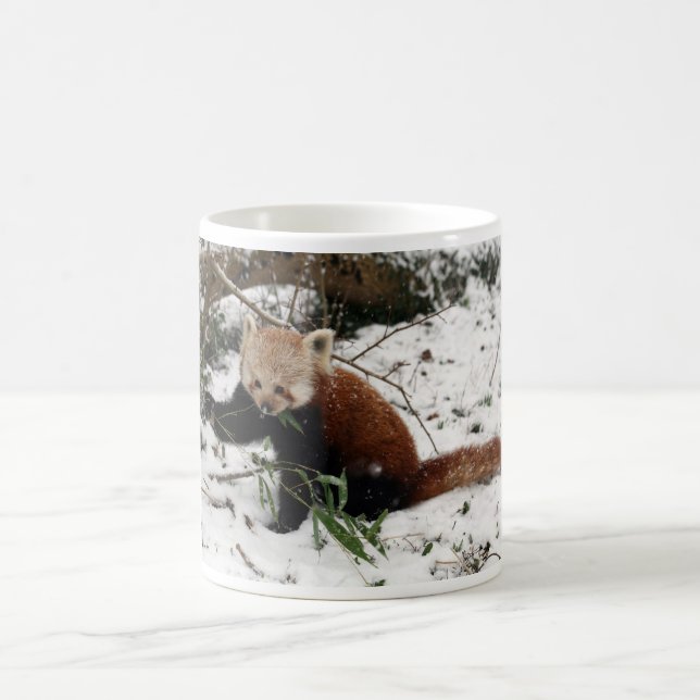 Roter Panda Kaffeetasse (Mittel)