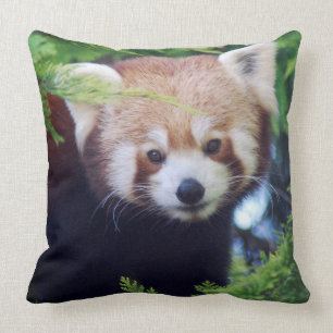 Roter Panda Kissen