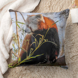 Roter Panda Kissen