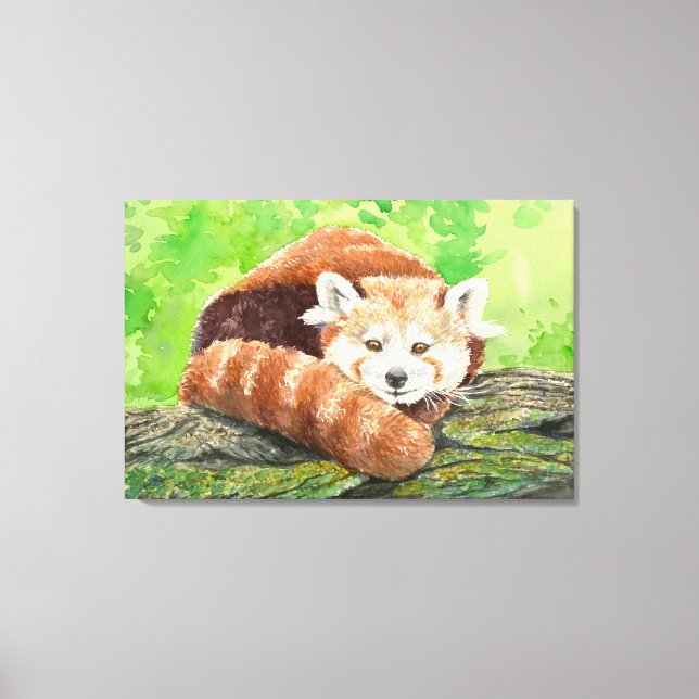 Roter Panda Leinwanddruck (Vorderseite)