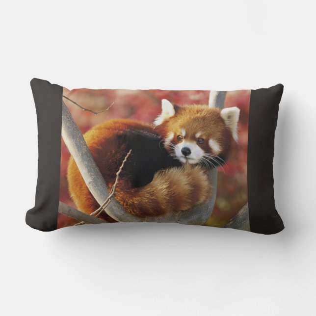 Roter Panda Lendenkissen (Vorderseite)