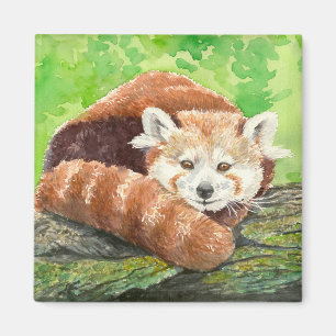 Roter Panda Magnet